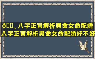 🌸 八字正官解析男命女命配婚「八字正官解析男命女命配婚好不好」